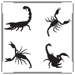 Scorpion silhouette, Scorpion illustration ,Scorpion clipart, Scorpion vector , Scorpion icon , black Scorpion, Scorpion illustration on white background, Scorpion vector illustration ,