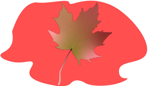 leaf + Backgrounds + effects Gradient