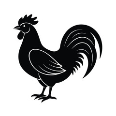 rooster vector illustration