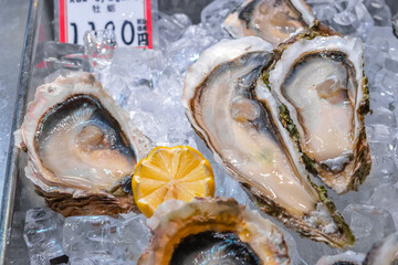 Fresh oysters with lemon and ice. Oyster dish, restaurant delicacies. Oyster dinner. Close-up