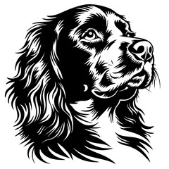 american water spaniel Detailed black and white cocker spaniel portrait with intricate linework and expressions