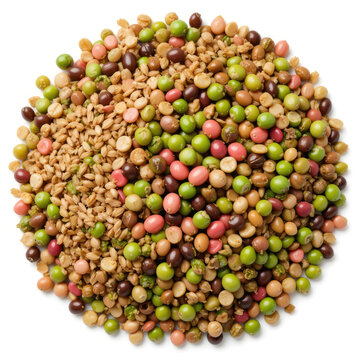 lentil