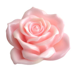 Orange rose flower isolated on white background Wedding card bride 
