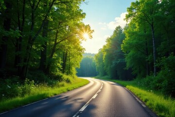 Obraz premium Sunlit Winding Road Through Lush Green Forest Canopy