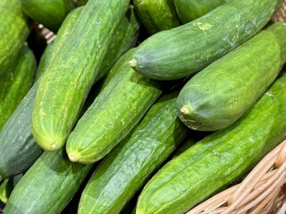 A lot of green cucumbers in a market counter for sale on sale in vegetable stand display at supermarket show organic food, vegetarian food, healthy food. Close-up