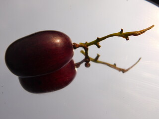 water grapes drops on a red background