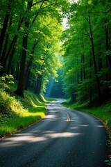 Obraz premium A sun-dappled road winds through a verdant forest, sunlight filtering through the dense canopy, creating a picturesque scene of natural beauty and tranquility.