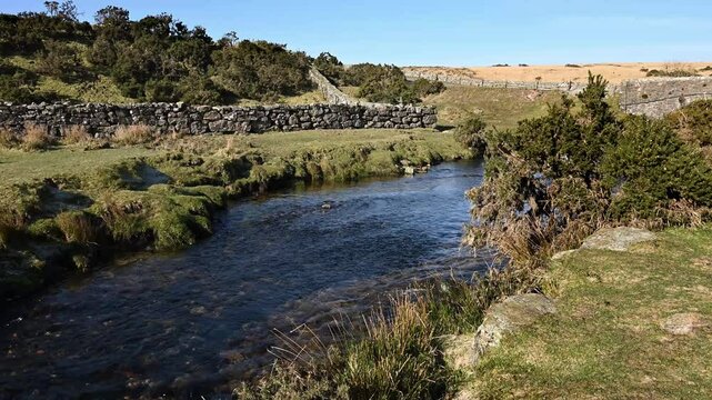 early spring on rural Dartmoor Devon