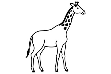 Elegant Fine Line Giraffe Vector | Safari Wildlife Outline Art

