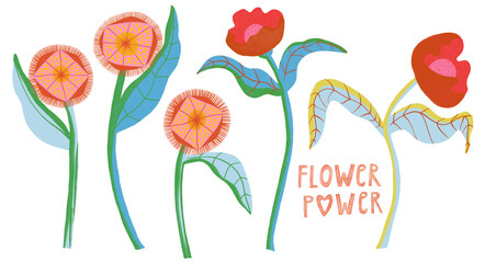 Set of different bold colorful wild flowers