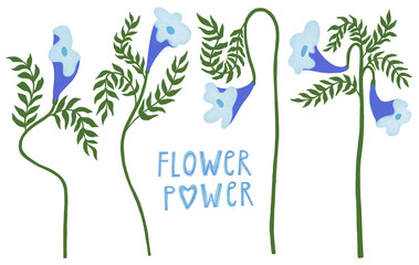Set of bold colorful bluebell flowers