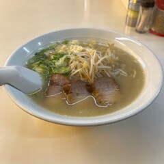 chicken noodle soup