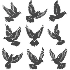 Fototapeta premium Elegant Silhouette of Soaring Doves