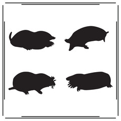 											
Mole silhouette, Mole illustration , Mole clipart, Mole vector , Mole icon , black Mole, Mole illustration on white background, Mole vector illustration ,