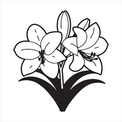 Obraz premium Amaryllis Flower – Bold and Beautiful