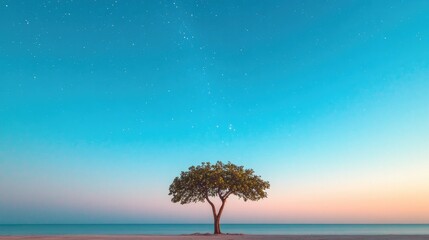 Obraz premium expansive starry night sky with lone silhouette of tree in foreground