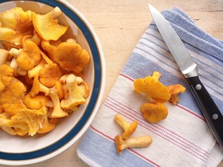 Close up of a few fresh chanterelle mushrooms on a kitchen towel with a knife and some mushrooms in a porcelain bowl. © Kati Maria