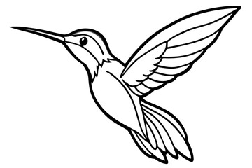 Obraz premium Stylized Hummingbird Line Drawing – Minimalist Bird in Flight Vector