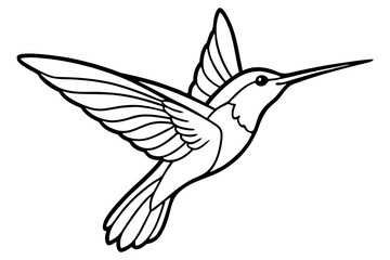 Obraz premium Stylized Hummingbird Line Drawing – Minimalist Bird in Flight Vector