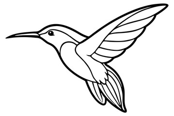 Obraz premium Stylized Hummingbird Line Drawing – Minimalist Bird in Flight Vector