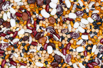 background of different legumes