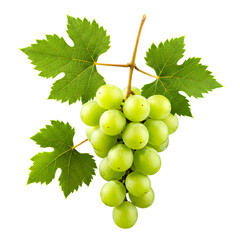 Obraz premium Fresh Green Grapes With Leaves On Transparent Background 