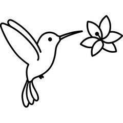 hummingbird and flower