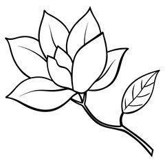 Fototapeta premium lotus flower vector