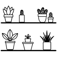 set of flowers in pots