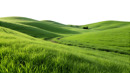 Lush Green Grassland &ndash; Isolated Rolling Hills Landscape