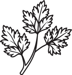 parsley line art, black outline, vector and illustration, coloring book page line art drawing