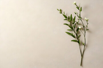 Fototapeta premium Elegant white flowers and green leaves on a beige background; perfect for cards, blogs, or websites