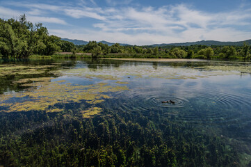 Posta Fibreno lake nature reserve, Frosinone, Italy