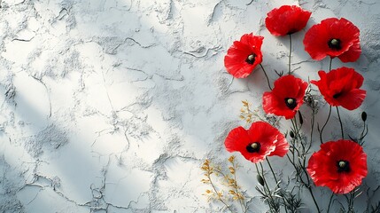 Vibrant red poppies elegantly arranged against a textured gray background bathed in soft sunlight.. AI Generated