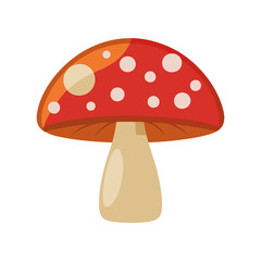 fly agaric mushroom isolated  on transparent background