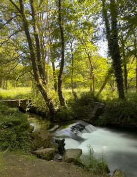Rapid water in the river surrounded by forest greenery near Salcedo, Pontevedra, Galicia, Spain, April 2024