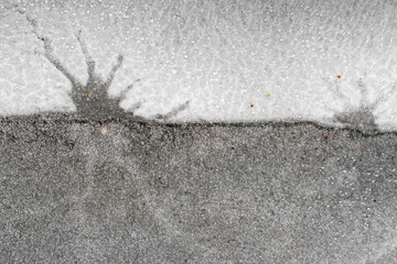 abstract ice black and white