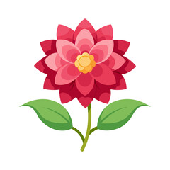 a beautiful flower isolate on transfer background