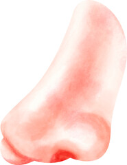 watercolor nose