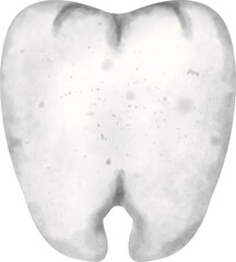 watercolor teeth