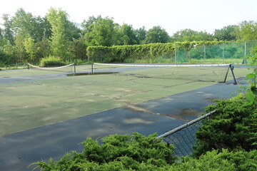 abandoned tennis court