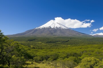 Fototapeta premium A mountain with snow on top and a clear blue sky. The mountain is surrounded by a lush green forest