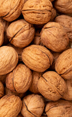 background of walnuts