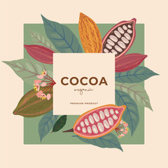 Cocoa bean illustration. Vintage style design template. chocolate cocoa beans. Vector illustration