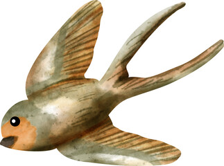 watercolor barn swallow bird