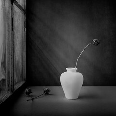 Fine Art Black and White minimalist image of a small white vase with a dried sunflowers near a window with streaming light.