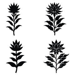 Set of black silhouettes of Zigzag Plant flowers and leaves on a white background