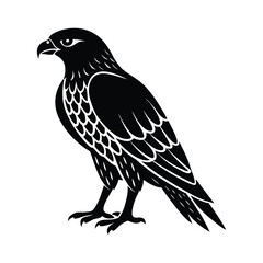 Obraz premium hawk of a silhouette art