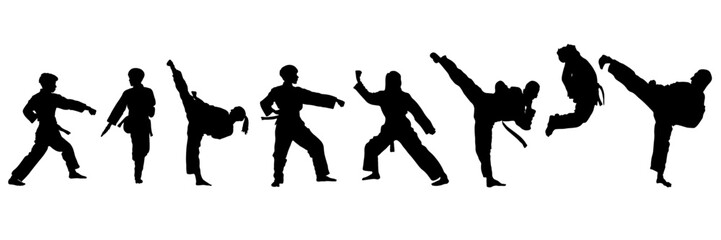 Martial arts. People involved in wrestling, karate, taekwondo, wushu, judo, sambo. Silhouettes of people during wrestling