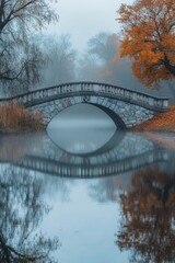 Fototapeta premium Riverbank with Trees